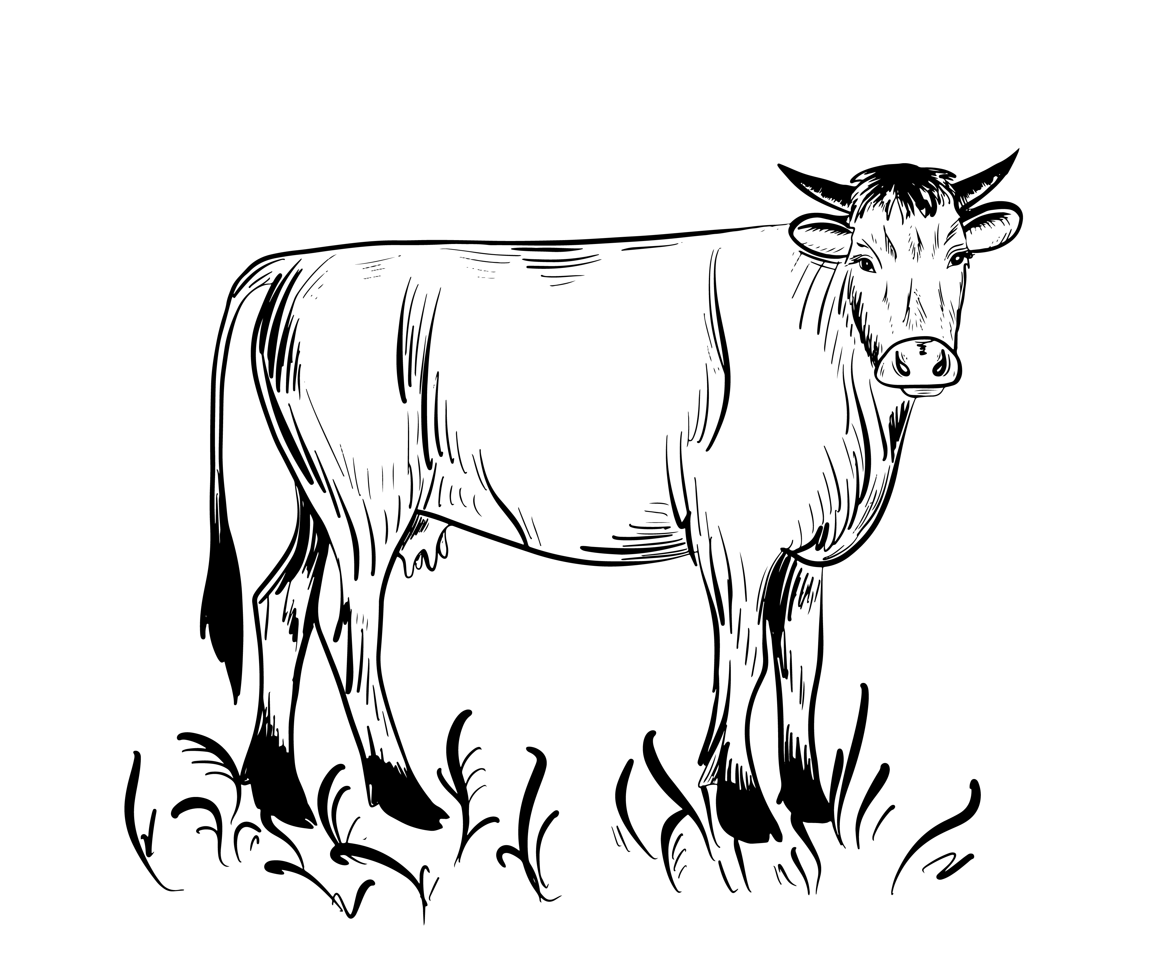 Smart Animal Selection